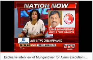 Interview of Mungantiwar for Avni's execution