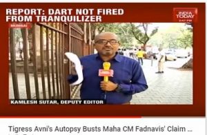 Tigress Avni's autopsy busts Maha CM Fadnavis's claim